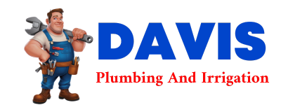 Trusted plumber in URSINA